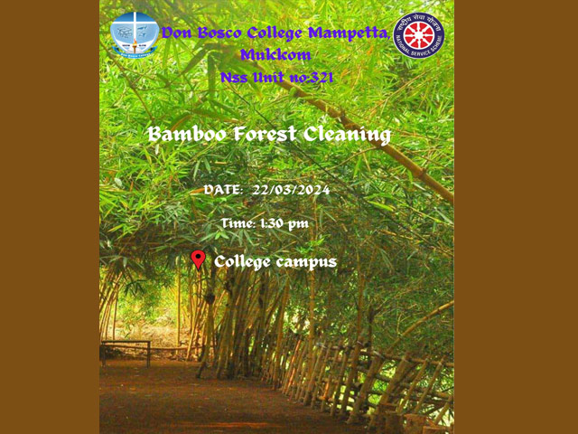 Bamboo Forest Cleaning